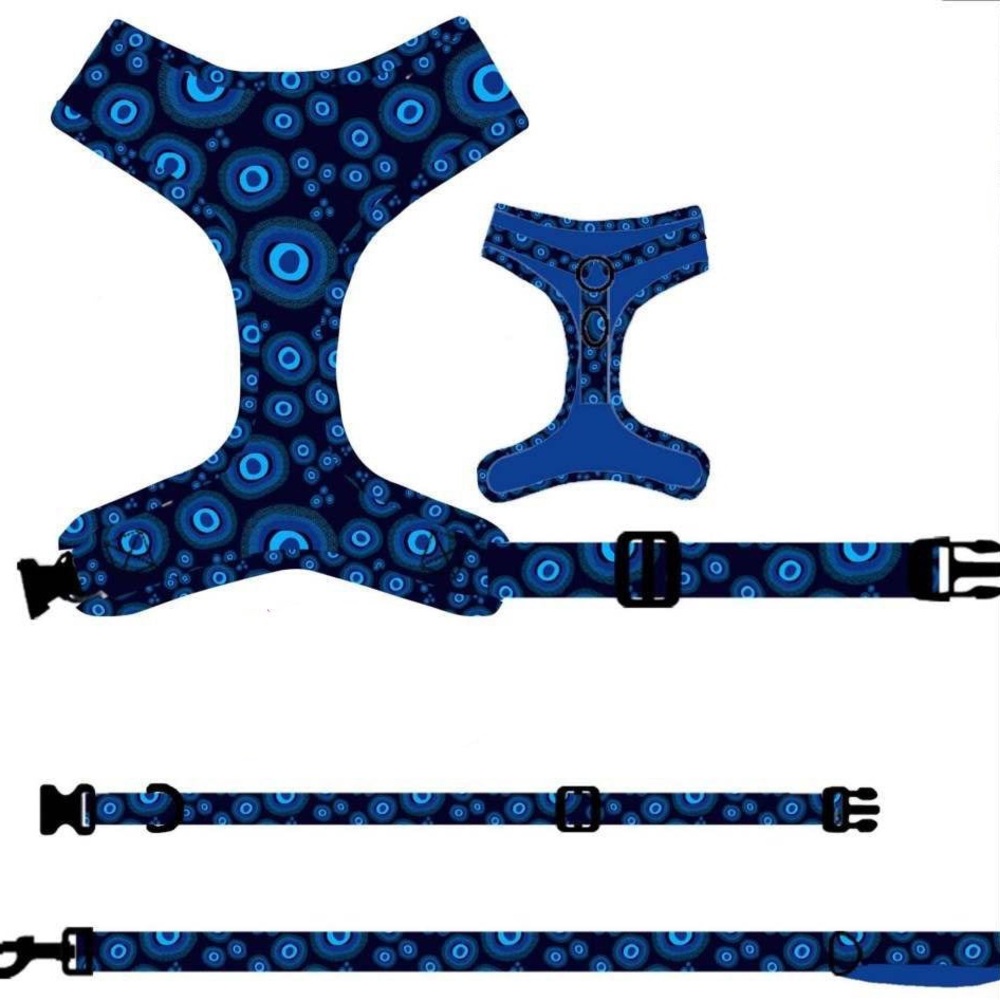 Dog Harness, Collar & Leash Set